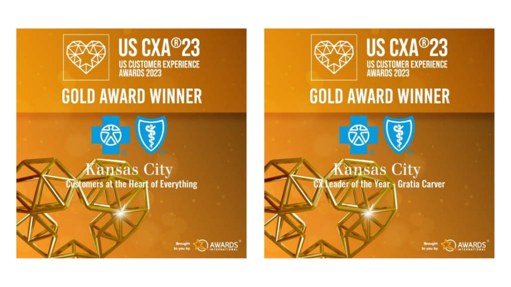 Blue KC US Customer Experience Awards
