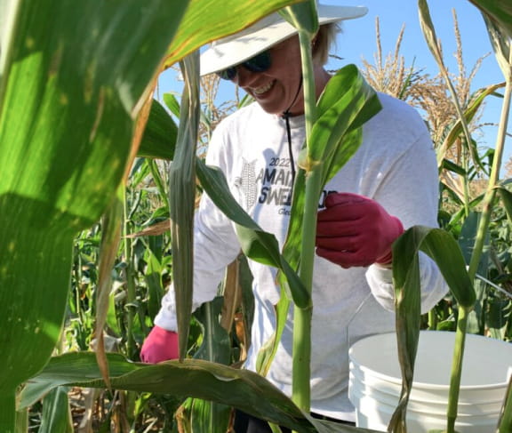 A person tending to crops.