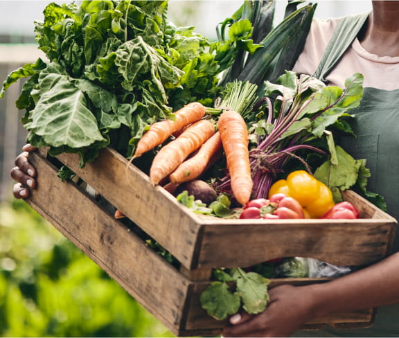 A person carrying a crate of fresh vegetable.